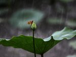 IMG_9200