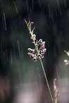 IMG_9241