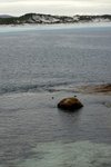 DSC09291