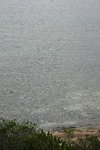 DSC09316