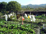 20140223_120138