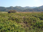 20140223_120237