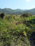 20140223_120328