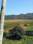 20140223_120522