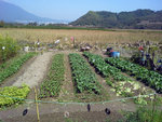 20140223_120608