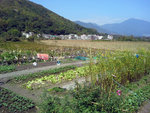 20140223_120644