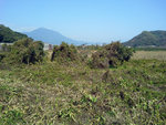 20140223_120811