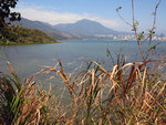 IMG_0050