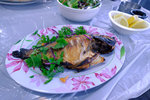 DSCF7891