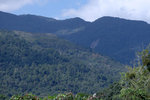 DSCF0353
