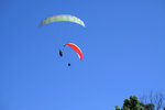 DSCF0377