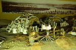 DSCF2611
