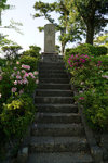 DSC00187