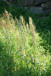 DSC00191