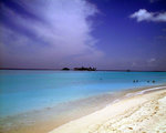 DSCF0016