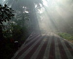 DSCF0037