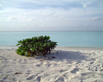 DSCF0038