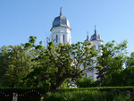 P1466327