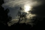 DSC07646