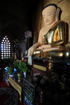 IMG_2005