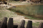DSC08171