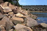 DSC08198