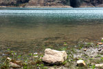 DSC08199