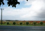 DSC07394
