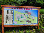 P1377013
