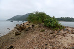 HKG_0540