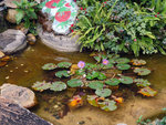 P1010520