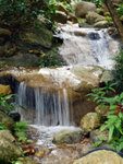 P1010549