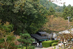 DSC07800