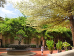 P1233267