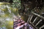 7-CLEARWATER CAVE, MULU