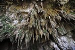 8-CLEARWATER CAVE, MULU