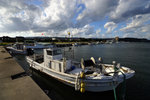 DSC00311