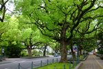 DSCF9942