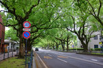 DSCF9948
