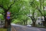 DSCF9953