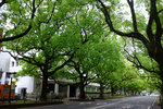 DSCF9956