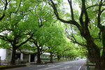 DSCF9957