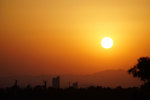 DSC06454