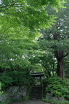 DSCF1481