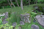 DSCF1485