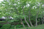 DSCF1486