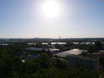 P1466342