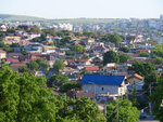 P1466344