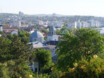 P1466349