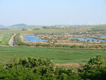 P1466350
